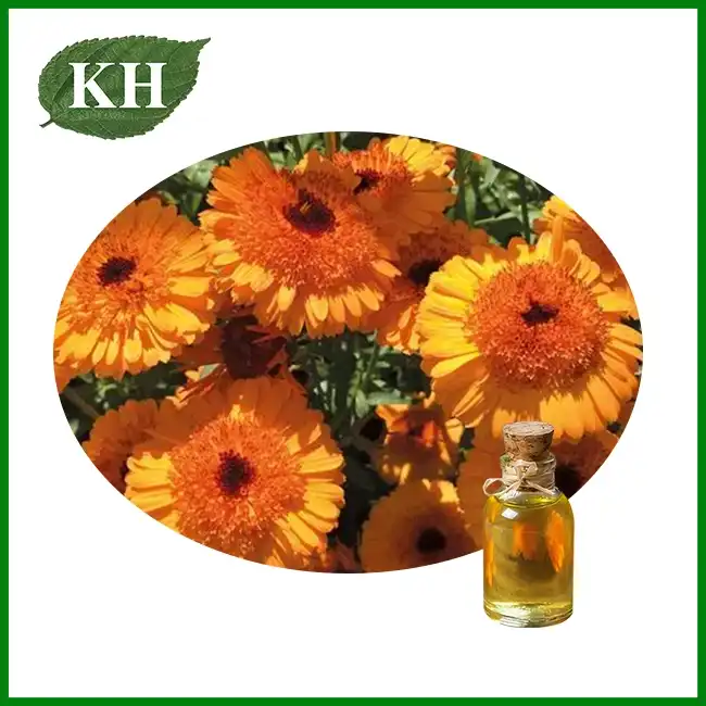Wholesale Natural Calendula Oil